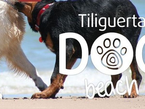 Tiliguerta Dog Beach 