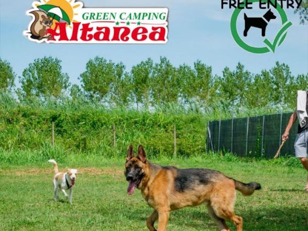 Altanea Green Camping