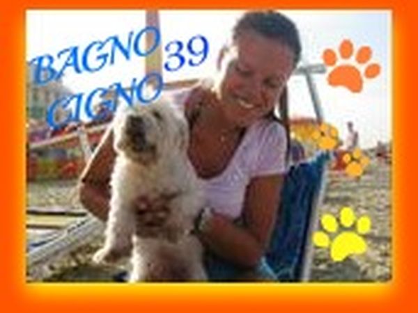 Spiaggia Bagno 39 Cigno