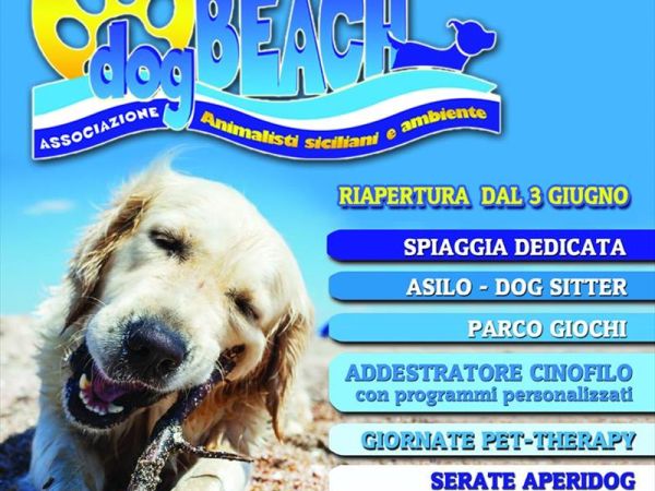 Dog Beach - Lido Azzurro