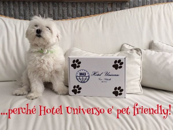 Hotel Universo