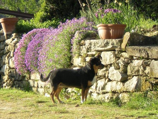 Agriturismo C dArgella