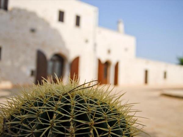 Masseria Valente