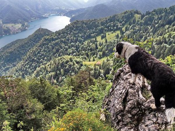 Spiaggia per Cani al Lago di Ledro