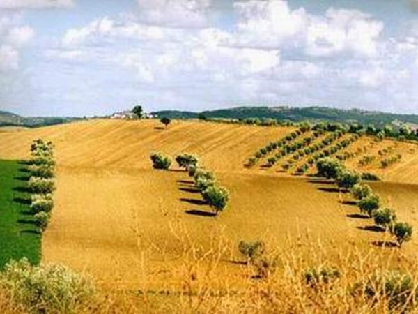 Agriturismo a Saturnia - San Leonar...