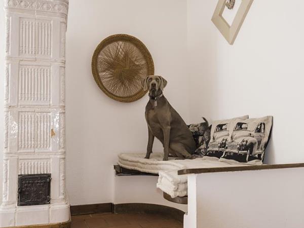 Country House Pet Friendly a Ledro