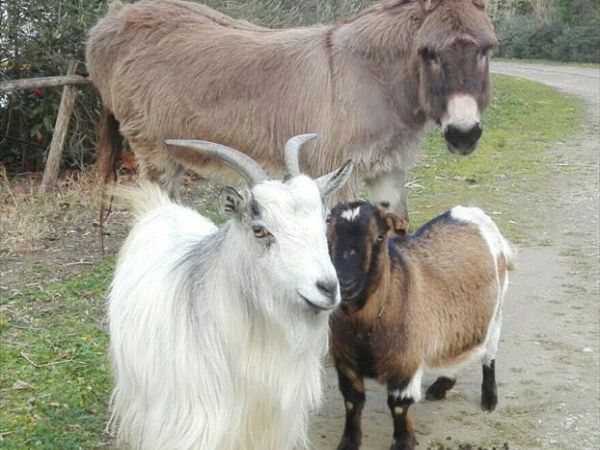 Oasi di Maremma