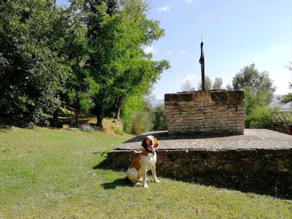 AGRITURISMO SELVOLI