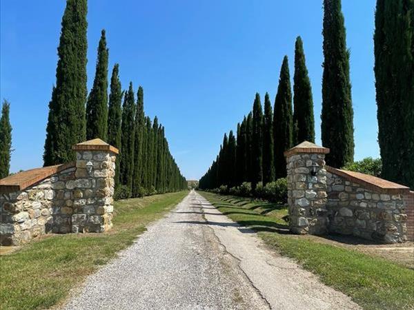 Parco della Sterpaia - Appartamenti...