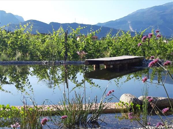 Agritur Fiore dUlivo