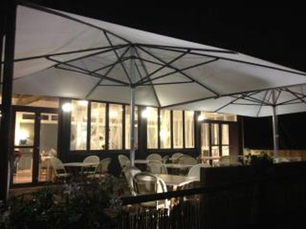 MISTER FOGG - foto 7926.jpg