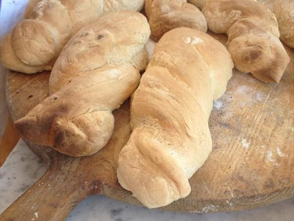 Agriturismo ristorante Oliva Azzurra - foto 8258.jpg