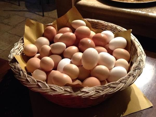 Ristorante Il Felcino - foto 8407.jpg