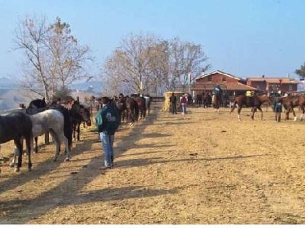 Fattoria Cerreto Ristorante Pizzeria - foto 8553.jpg