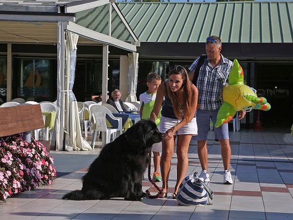 Camping Village San Francesco - foto 8574.jpg