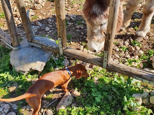 PANTALICA RANCH Locanda - foto 8728.jpg