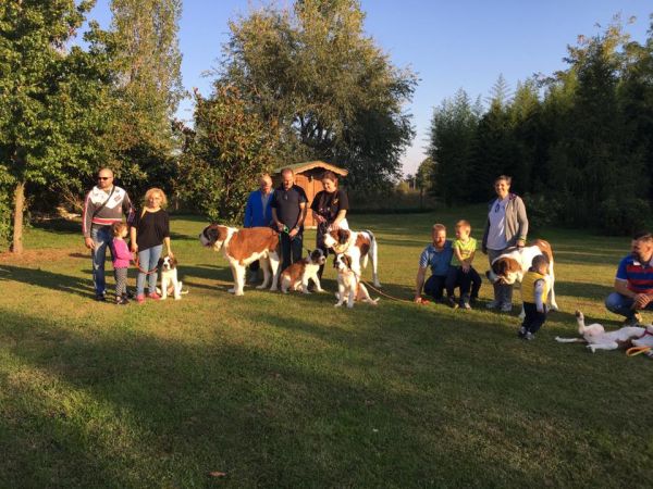 Ristorazione dell' Agriturismo il Podere - foto 8734.jpg