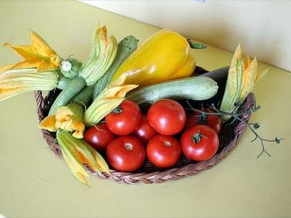 Pane e olio - foto 8842.jpg