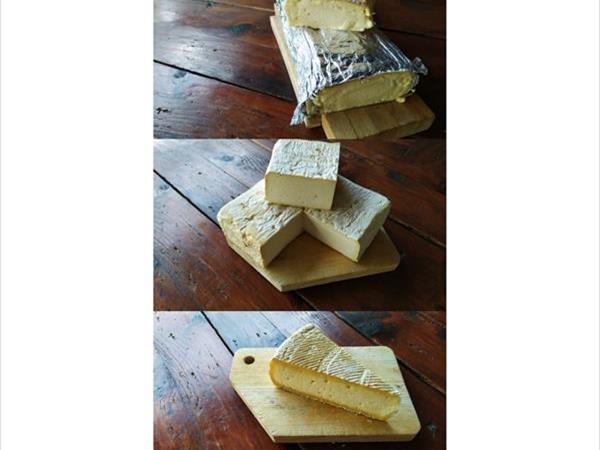 Pane e olio - foto 8847.jpg