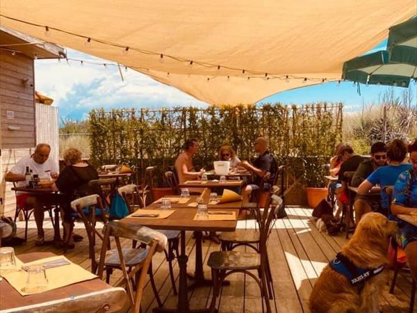 SINGLE FIN TUSCANY - foto 8875.jpg