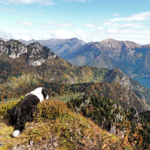 Valle di Ledro - Foto 1